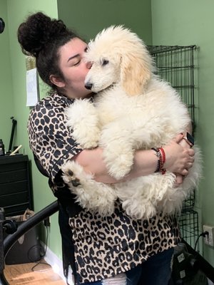 Jessica loving on a baby standard poodle!