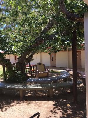 Cute spot under a tree for class!