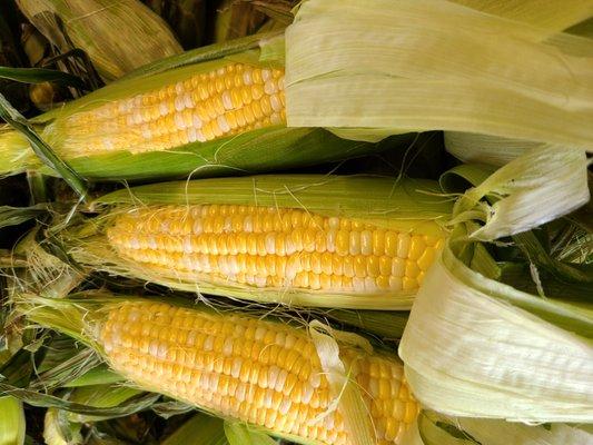 We're best known for our Sweet Corn.