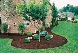 Profesional landscaping service Free estimate