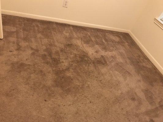 Carpet cleaning before