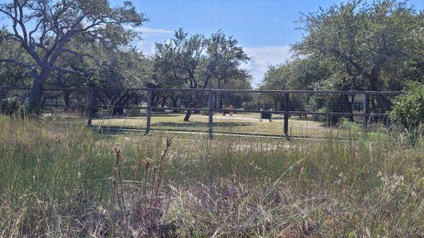 Back view of the large dog park