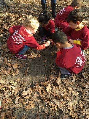 Looking for dinosaur bones at Hidden Oaks Nature Center