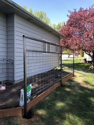 Putting in a raised bed with a custom fence to keep the deer out