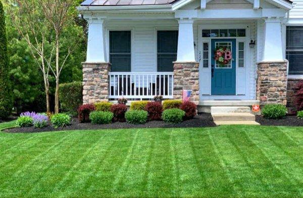 Premium lawn care service