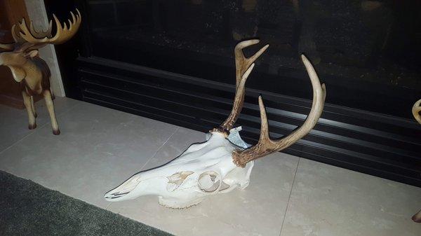 Euro mount