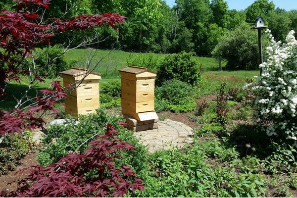 Garden beehive