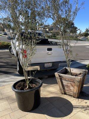 Twin Oaks Ranch Nursery