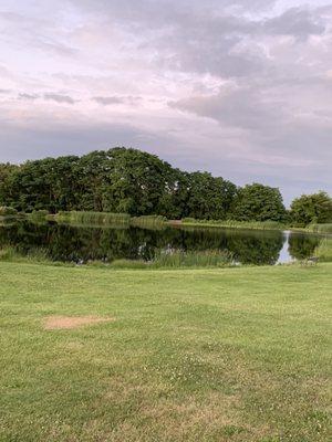 Beautiful pond