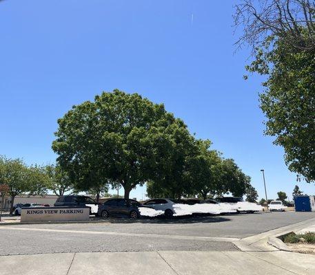 Parking lot has plenty of shade and space.