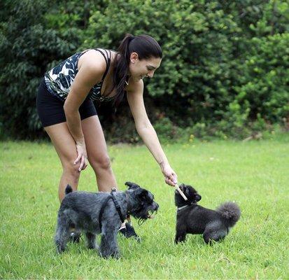 Our sitters will make sure that no matter big or small pooch everyone will get their exercise