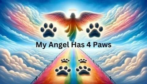 All our pet angels have 4 paws