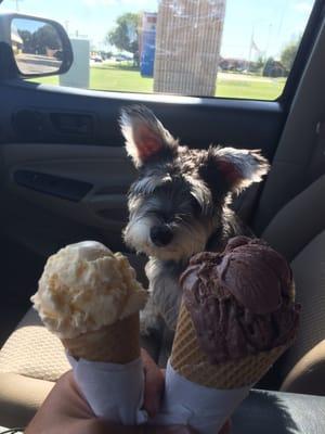 National Ice Cream Day with the dog!