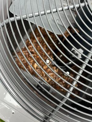 Dirty and clogged condenser full of leaves (BEFORE our Top Quality Maintenance)