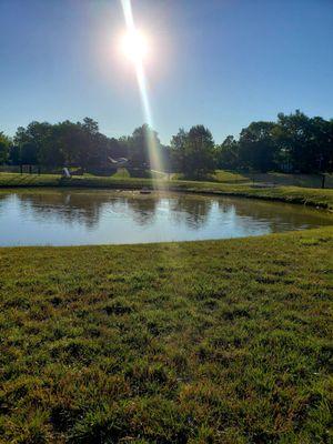 The pond at the New Albany, Indiana Dog Park