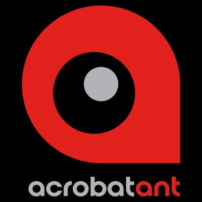 AcrobatAnt