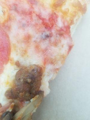 Literally a pube on our pizza