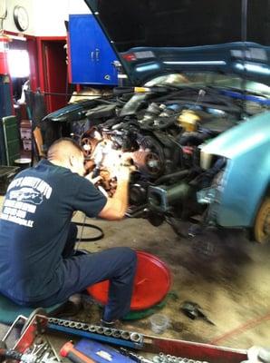 Timing Belts