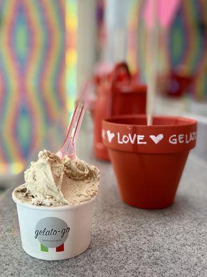 Gelato-go Orlando