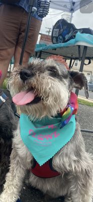 Einstein loving the day with his new Bandana