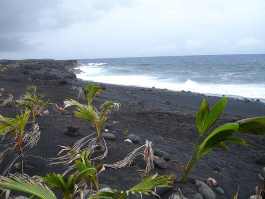 Hawaiian black beach created by volcano.