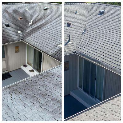 Before and After a Roof Cleaning