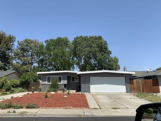 Before, overgrown crazy oak trees growing over the top of our house.