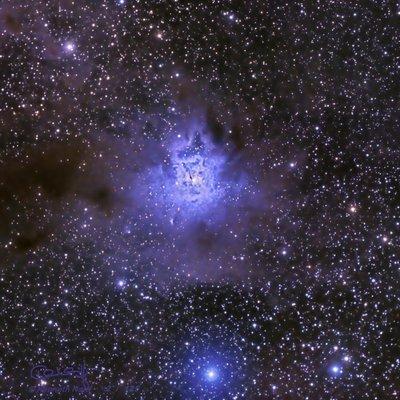 Iris Nebula - Spring in the Night Sky?
  The Iris is blooming in the star fields of constellation Cepheus.