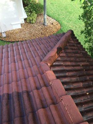 roof-pressure-cleaning-Royal-Palm-Beach-Florida