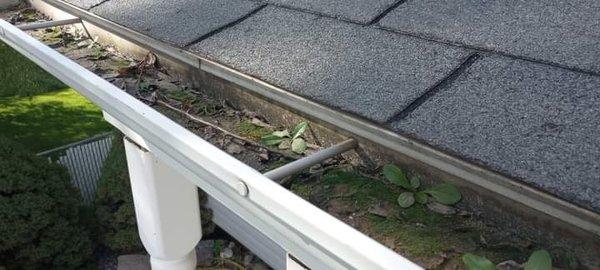 Gutter Cleaning