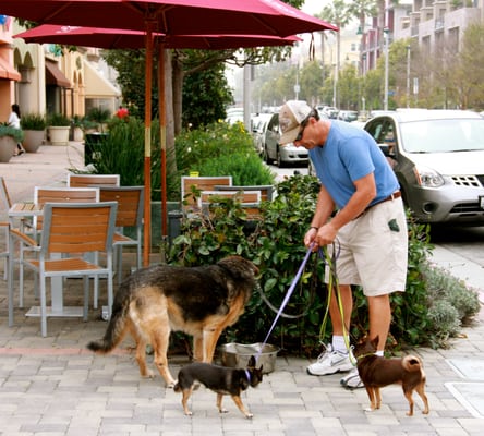 Silicon Beach is Playa Vista