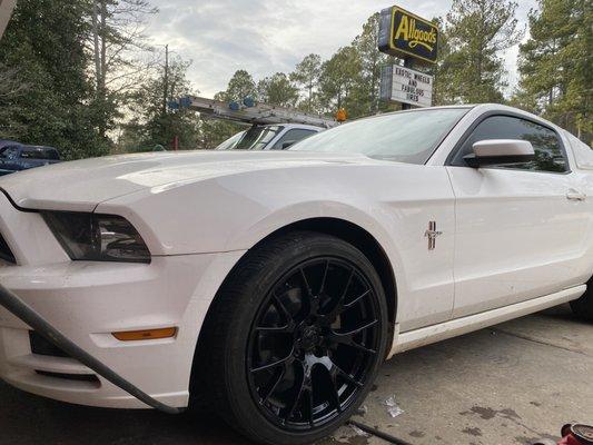 Hellcats on a Stang