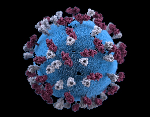 At Ace Biomedical Labs, you can also get tested for the new coronavirus variant - Delta Plus. Our medical team is well prepared to care for