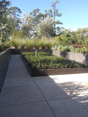 Custom Landscape Edging