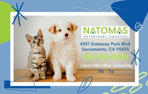 Natomas Veterinary Hospital