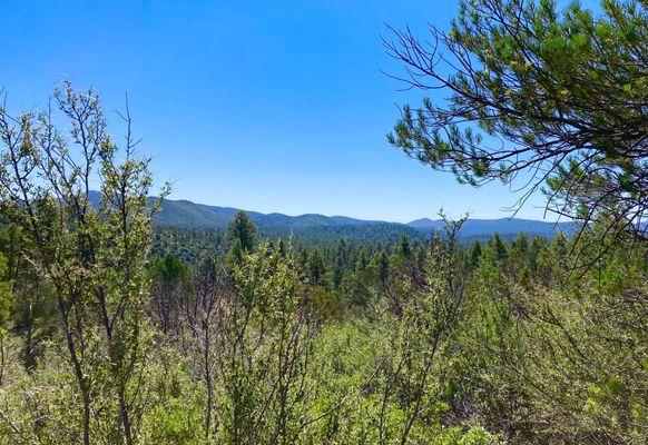 View from highlands trail