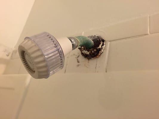 Rusted shower head yet to be replaced at time of photo