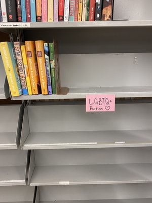 LGBTQ book section- small but it's there!