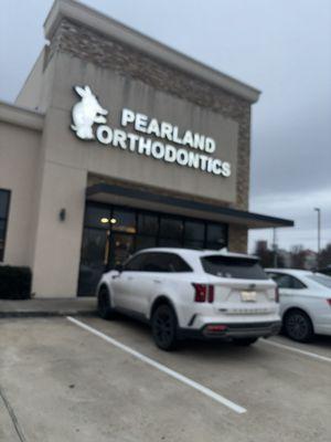 Great Orthodontist