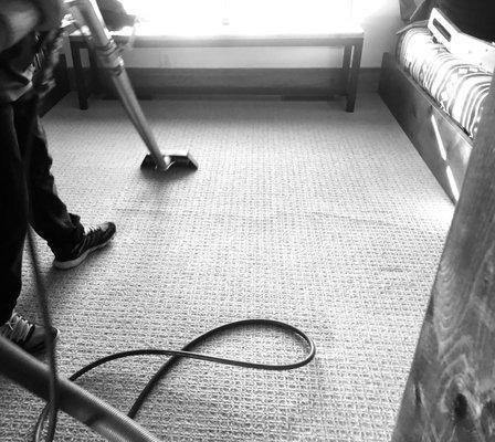 Carpet Cleaning