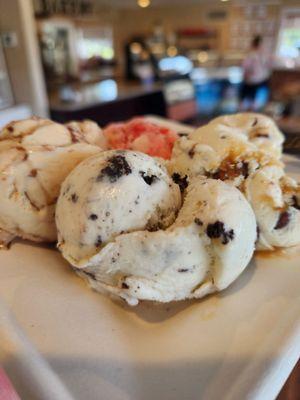 Ice cream sampler included 4 scoops