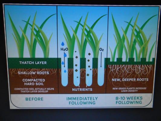 Plugnalawn Lawn Aeration