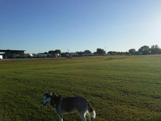 Nice, wide open field for dogs to run. And it's on a dead end street