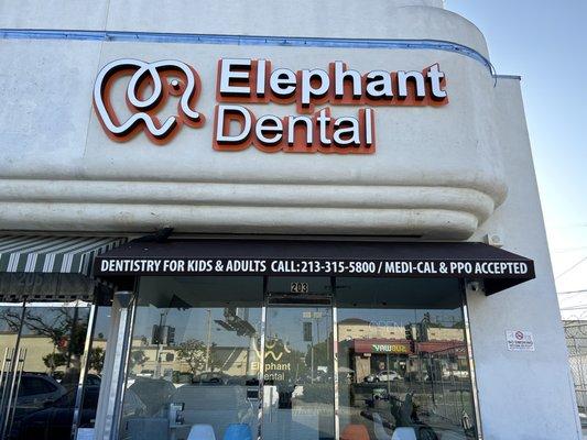 Elephant Dental