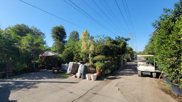 Parking lot and trees all around