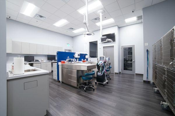 When we need a bit more wiggle-room, we come to the treatment area where procedures can be performed in a well lit area!