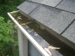 GUTTERS-CLEANING