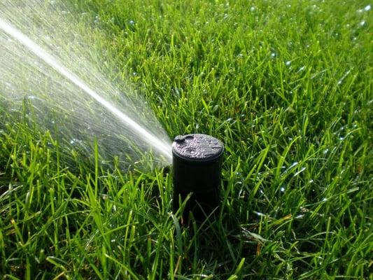 Irrigation System Services