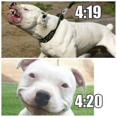 I'm all bout 420