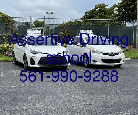 Assertive Driving School